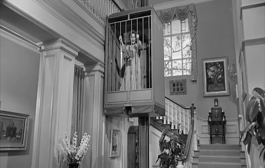 Olivia de Havilland - Lady in a Cage (1964)
