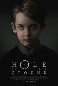 The Hole in the Ground (2019) Poster
